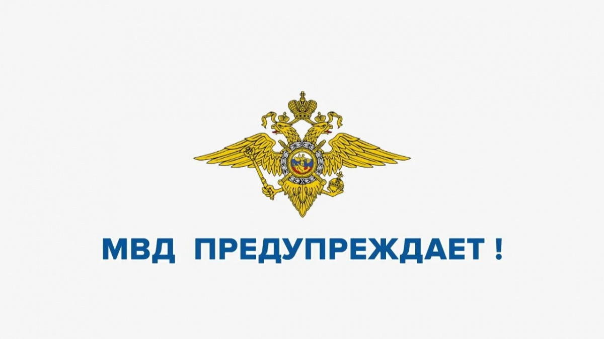 «Противодействие незаконному обороту наркотиков в Курганской области».