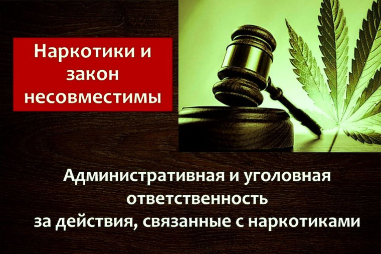 оперативно-профилактическая операция.